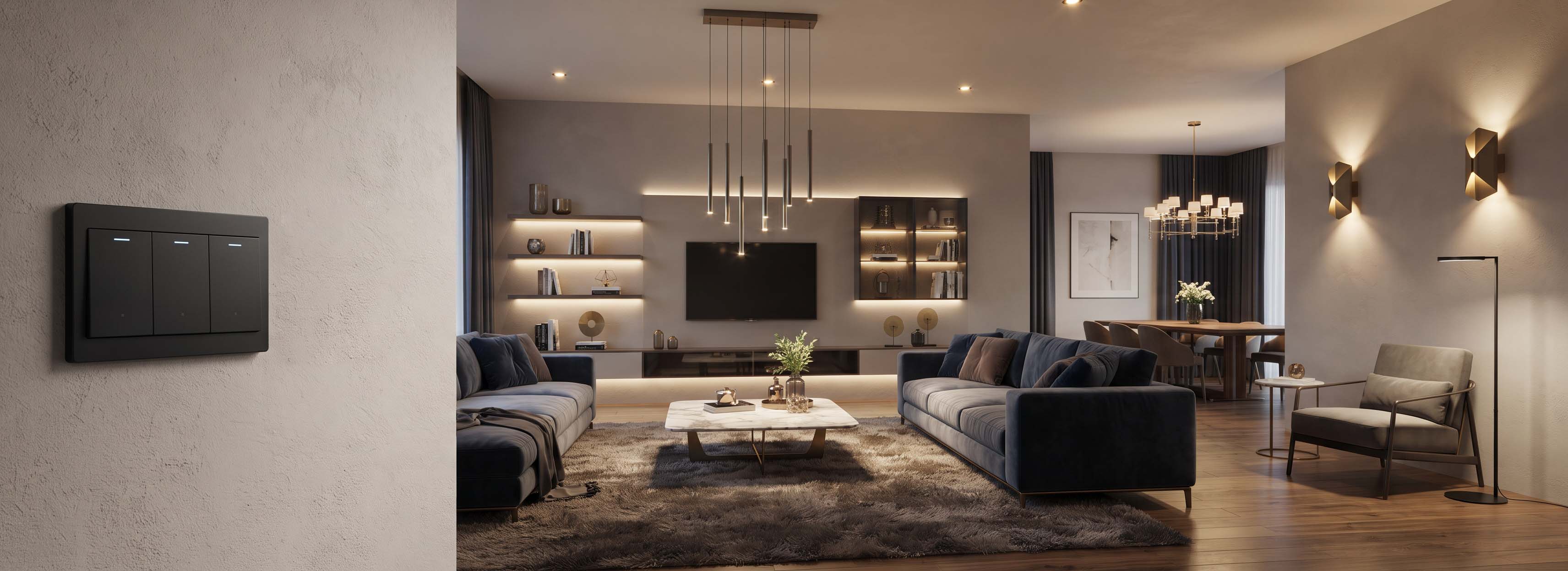 Consumer Lighting  Products